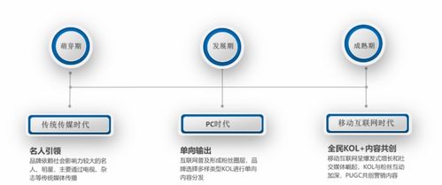 互聯網時代下的KOL營銷與銷售變革