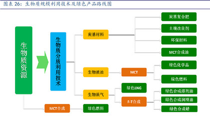 三聚環保 能源與環保的交匯明珠，生物質能源產品前景廣闊