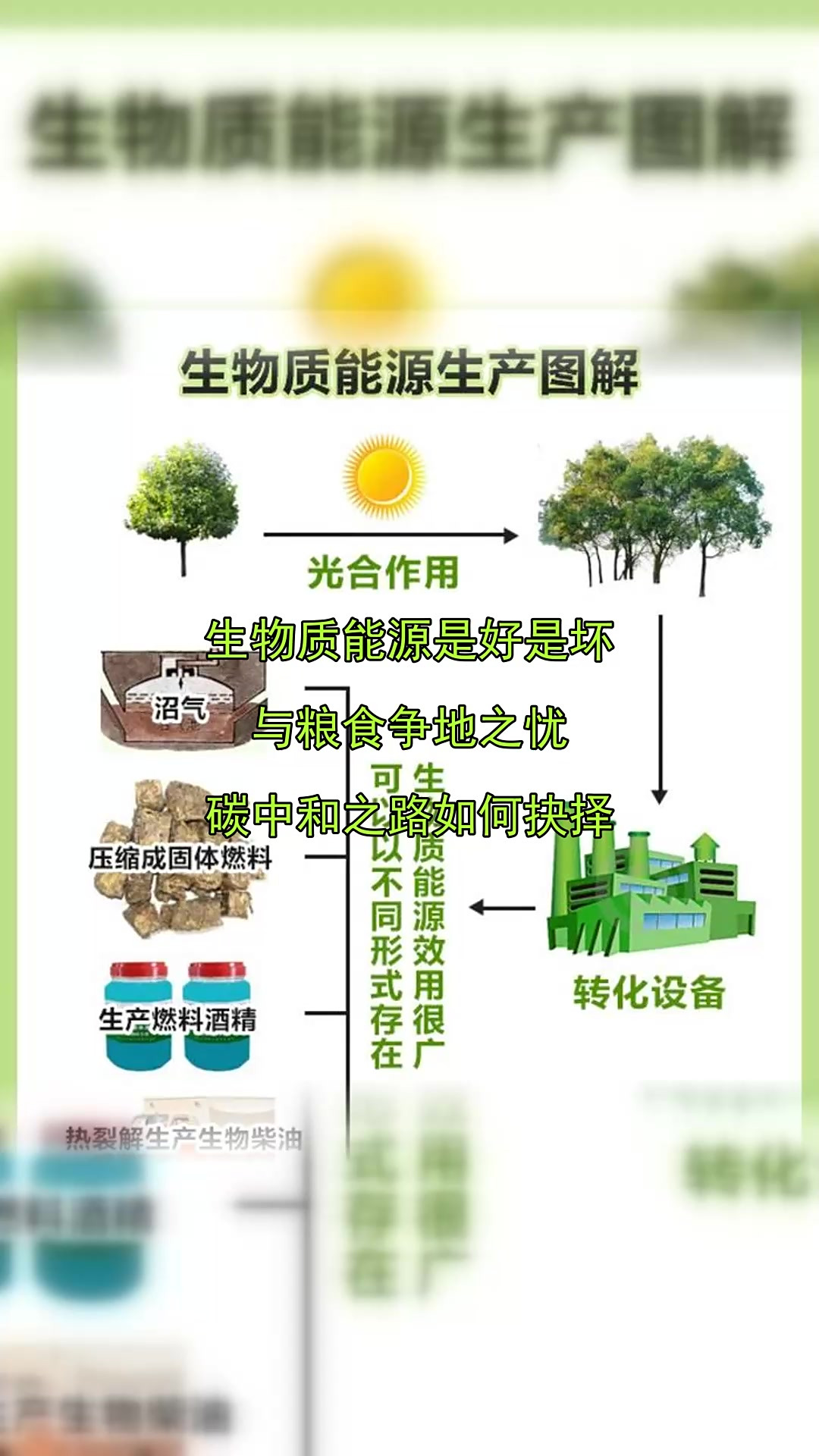 生物質能源是好是壞,與糧食爭地之憂,碳中和之路如何抉擇