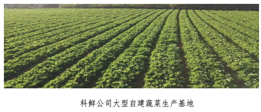 科鮮O2O手機菜籃子介紹